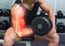 معلومات غريبة عن الهيكل العظمي واصغر عظمة في جسم الانسان