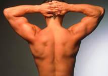 رقم سيصدمك: كم عدد فقرات العمود الفقري