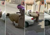 فيديو... سعودية تسخر من زوجها فتنهال عليه عروض الزواج بالثانية