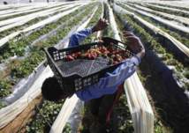 المغرب يهدد بإلغاء التعاون الاقتصادي مع أوروبا