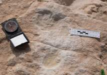 السعودية: اكتشاف آثار أقدام إنسان تعود لأكثر من 85 ألف عام