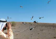 شاهد.. مقطع فيديو طريف يجمع حاكم دبي وأحد الطيور