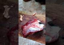 شاهد... قطعة من اللحم تتحرك في سوق عام!