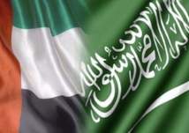 بنسبة 266.9% .. الإمارات تعلن زيادة حجم تجارتها مع السعودية