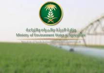 ما هي المحاصيل المحظور زراعتها وتصديرها في السعودية؟