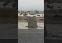 صندوق كاميرا "ساهر" يغرق في مياه الأمطار على طريق مكة ـــ الليث (فيديو)