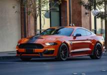 Mustang Shelby Super Snake أيقونة فورد موستانغ الجديدة