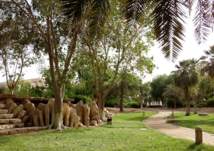 "الفوطة" أكبر حديقة بالرياض.. ما سر التسميه؟