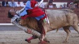 bull fighting injuries-اصابات مصارعة الثيران