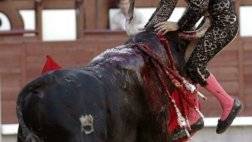 bull fighting injuries-اصابات مصارعة الثيران