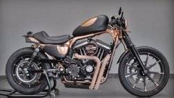 دراجات Harley-Davidson.jpg