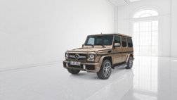 Mercedes-Benz G-Class, designo manufaktur, exterior gulf falcon.jpg