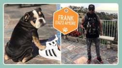 36_IG_superstar_pets_Enzo1--a17eab42cf0b3832db7f522e02115b6c.jpg