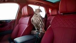 الصورة 4 - Bentley Bentayga Falconry من Mulliner –.jpg