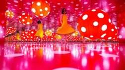 Christopher Pike - Yayoi Kusama - 2017.jpg