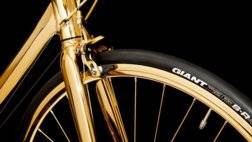 goldbikebrakes.jpg