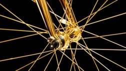 goldbikespokes.jpg