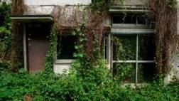 121-192824-japan-vacant-akiya-ghost-homes-2.jpeg