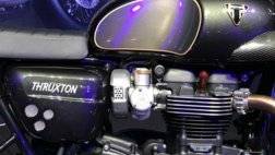 2jbk2b0k_triumph-thruxton-r-tfc_625x300_25_December_18.jpg