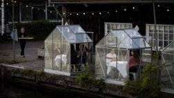 200506164640-03-quarantine-greenhouse_0.jpg