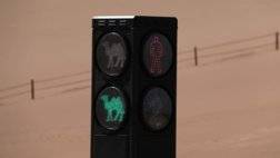 http___cdn.cnn_.com_cnnnext_dam_assets_210412101333-02-china-camel-traffic-light-restricted.jpg